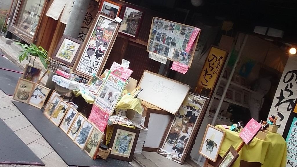 調整大小DSC_0140.JPG
