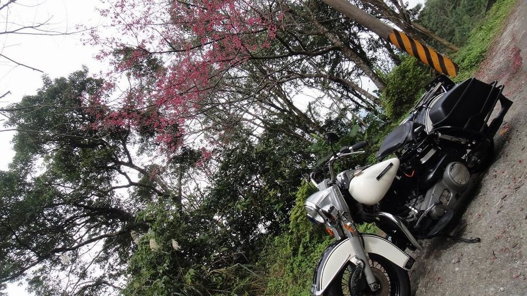 調整大小DSC00348.JPG