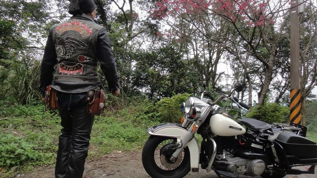 調整大小DSC00355.JPG