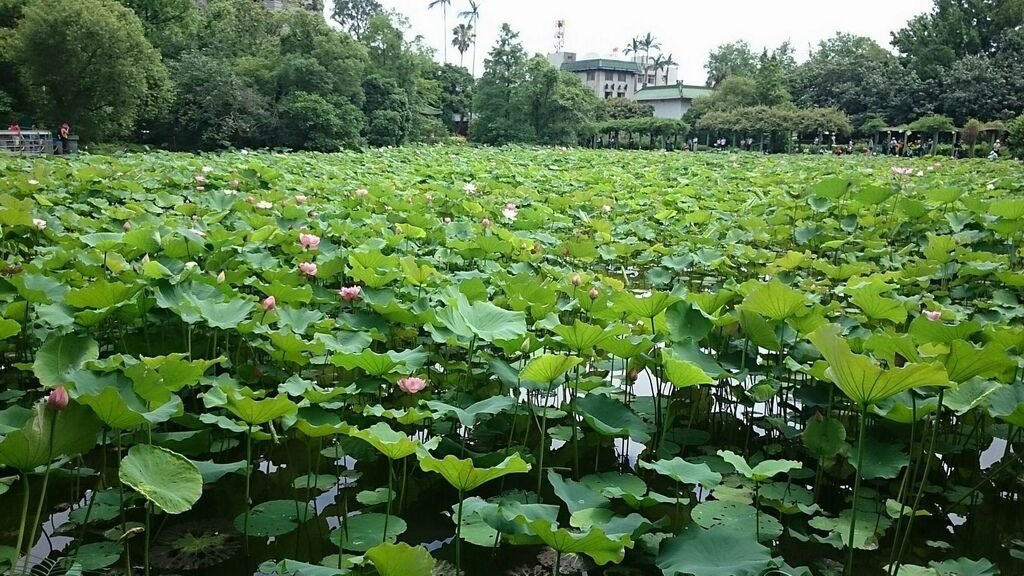 調整大小2017-05-21 歷史博物館_170521_0002.jpg