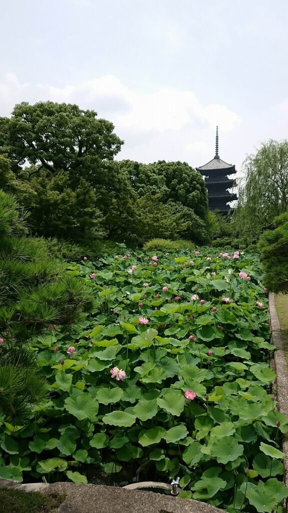 調整大小2017-07-07 東寺_170708_0024.jpg