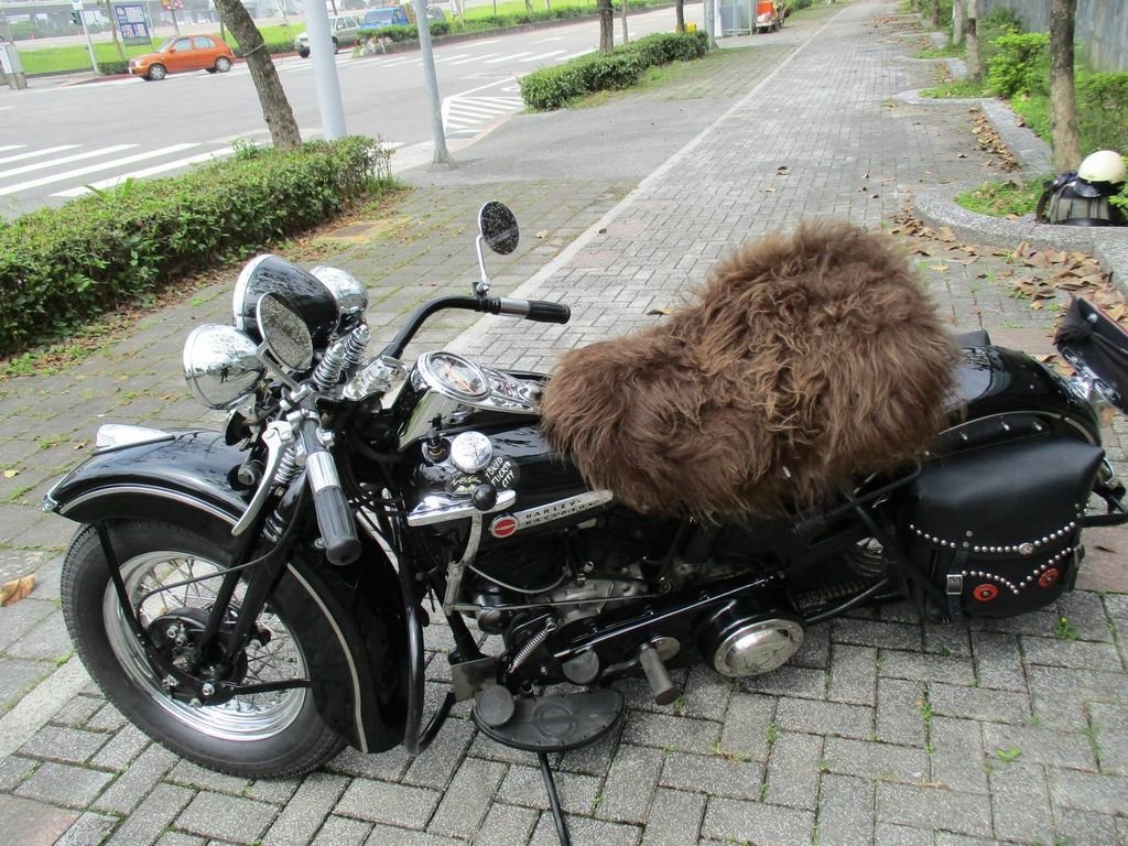 調整大小IMG_0011