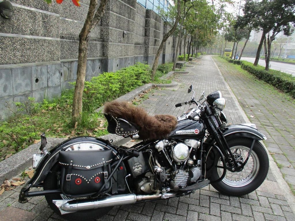 調整大小IMG_0005