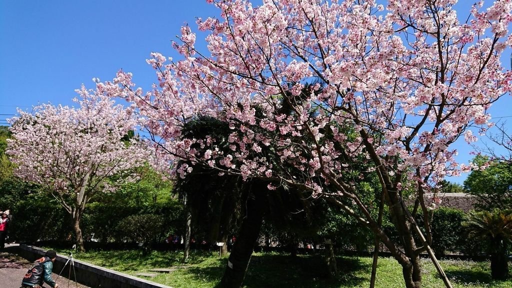 調整大小2018-3-11 陽明山雷達站  19_180311_0028.jpg