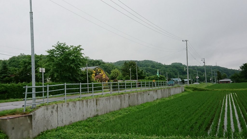 2018-07-03_180704_0049_調整大小
