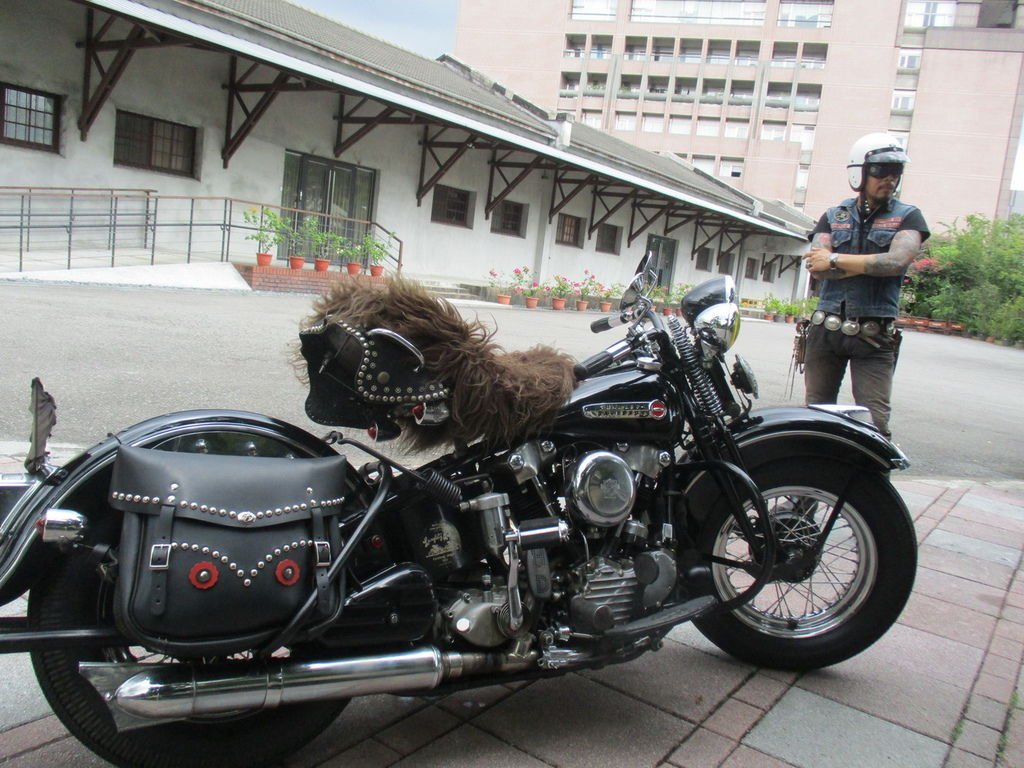 IMG_1066_調整大小.JPG