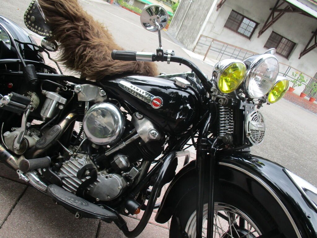 IMG_1054_調整大小.JPG