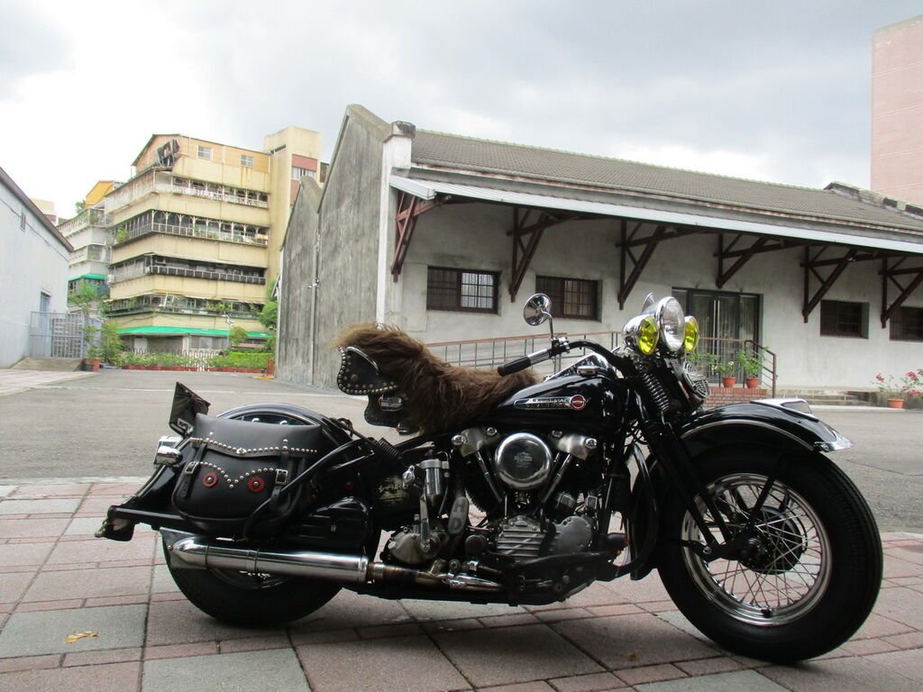 IMG_1050_調整大小.JPG