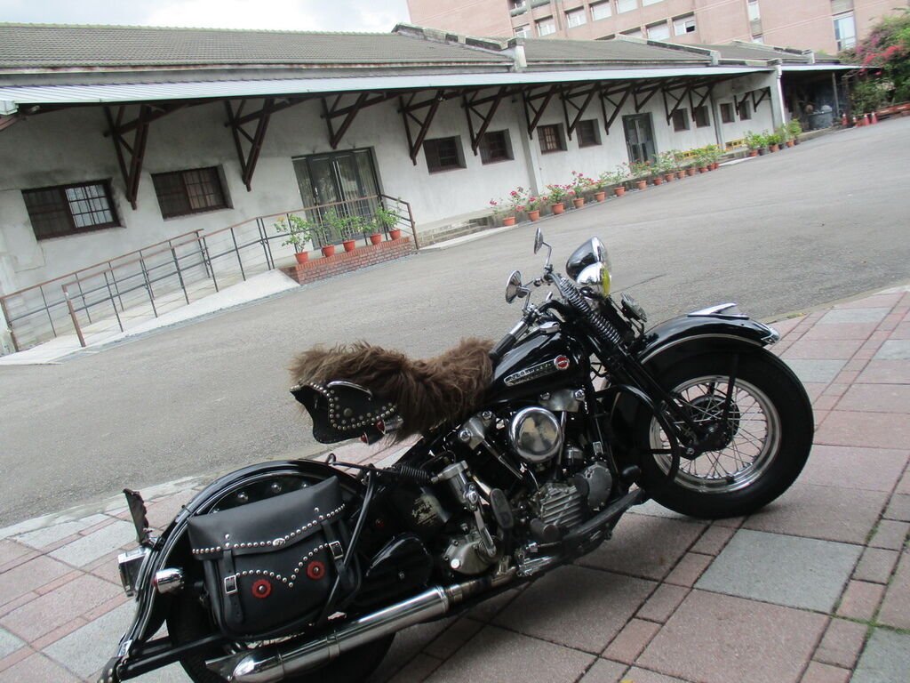 IMG_1048_調整大小.JPG