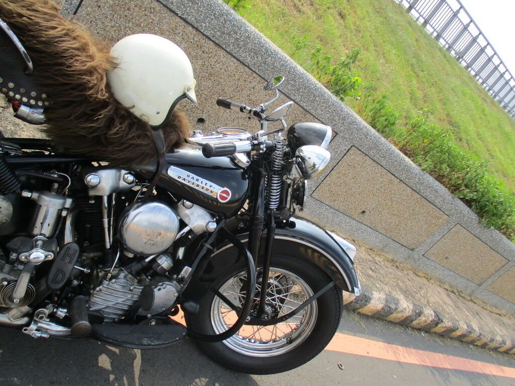 IMG_0213_調整大小.JPG