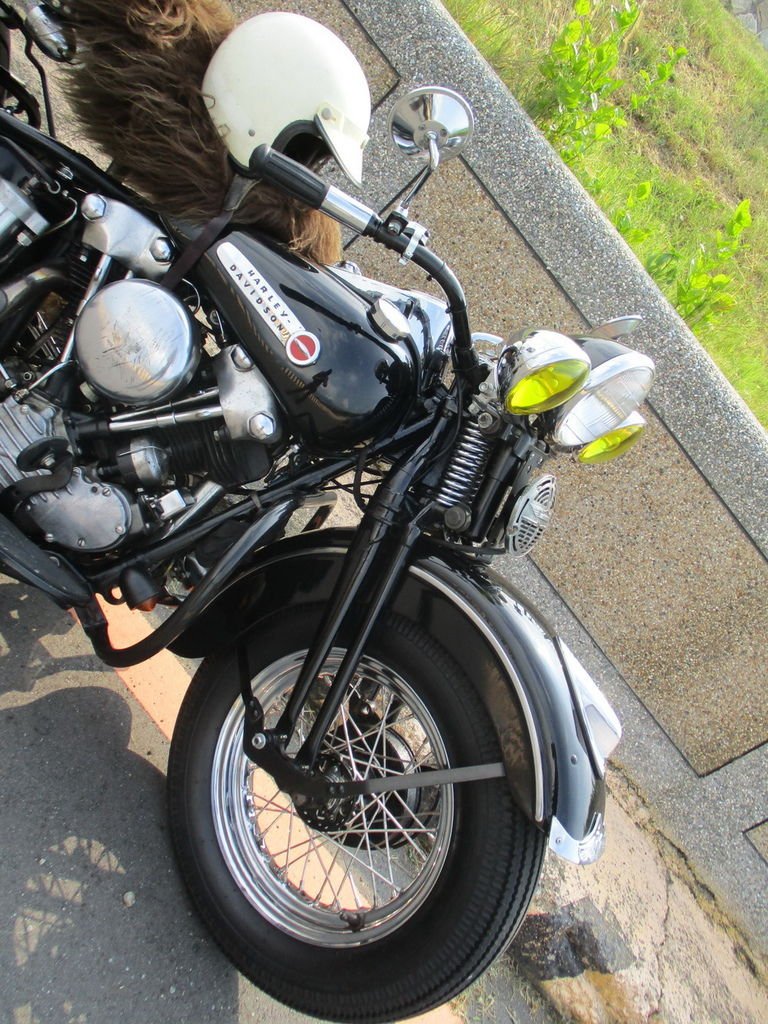 IMG_0215_調整大小.JPG