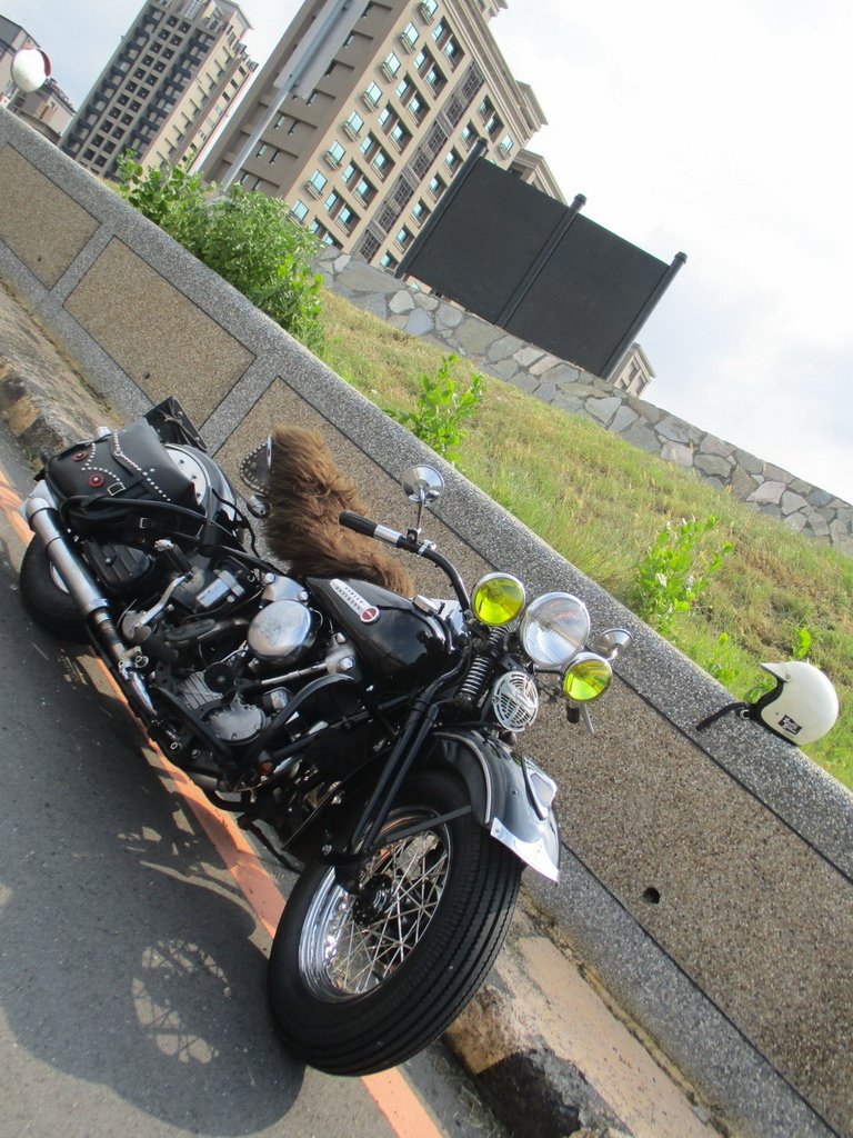 IMG_0221_調整大小.JPG