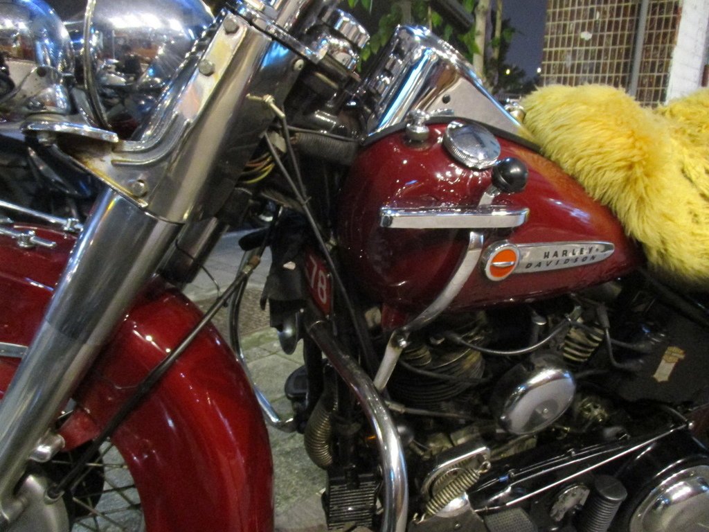 IMG_1206_調整大小.JPG
