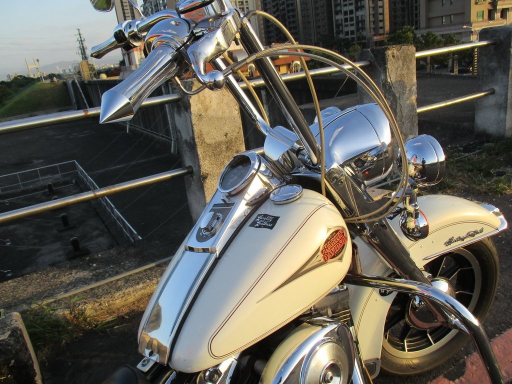 IMG_1229_調整大小.JPG