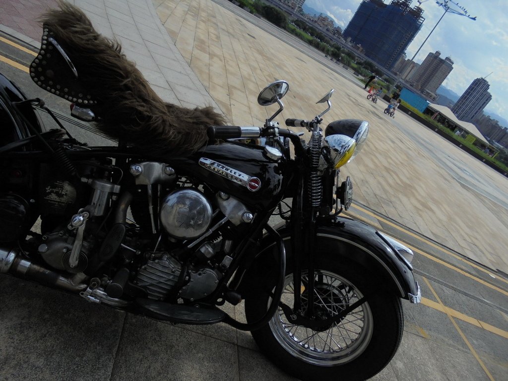 DSC01781_調整大小.JPG