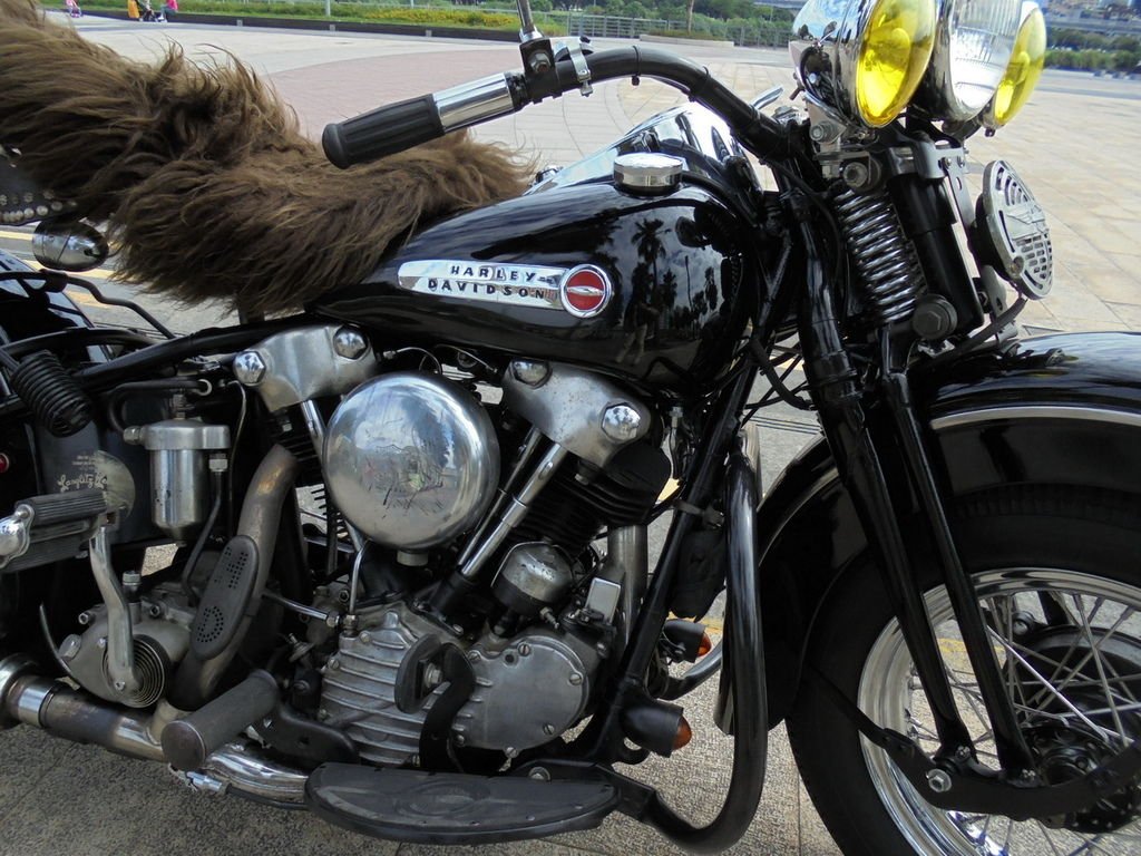 DSC01787_調整大小.JPG