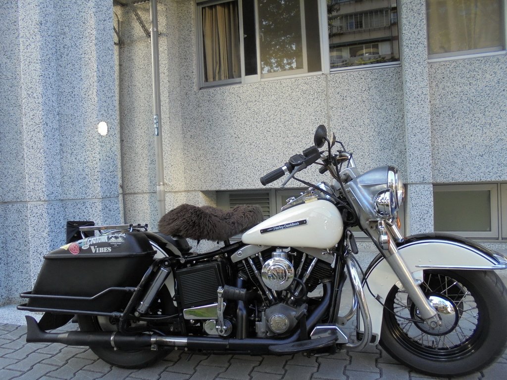 DSC01951_調整大小.JPG