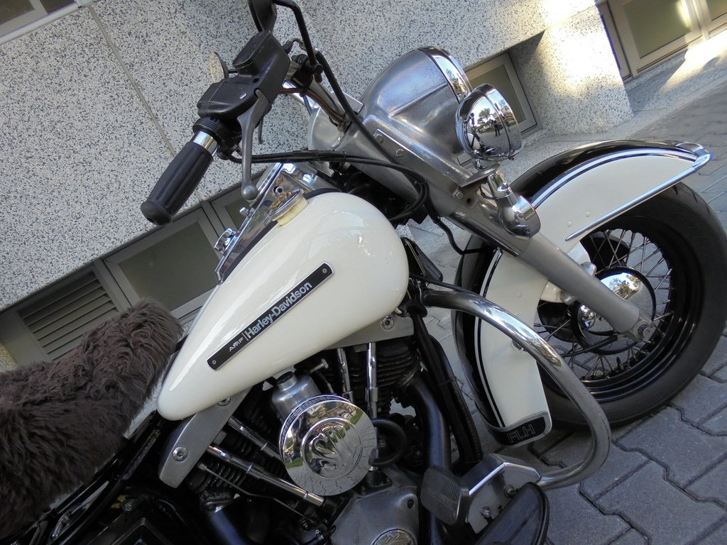 DSC01955_調整大小.JPG