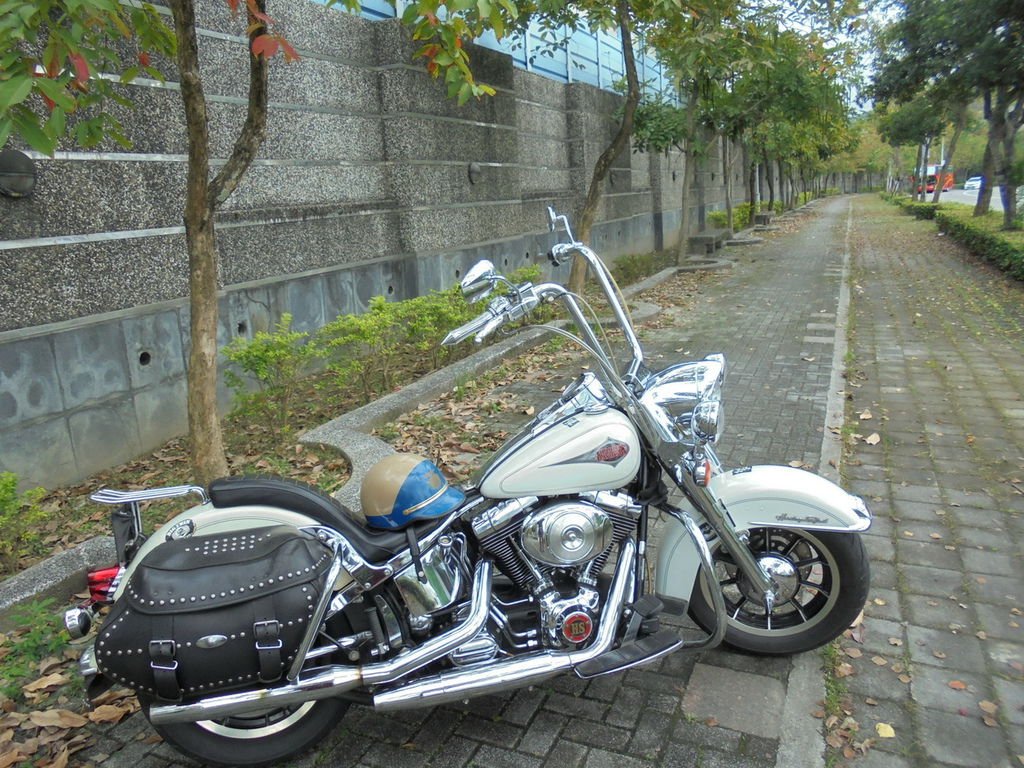 DSC02476_調整大小.JPG
