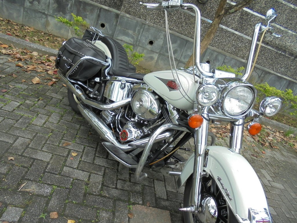 DSC02487_調整大小.JPG