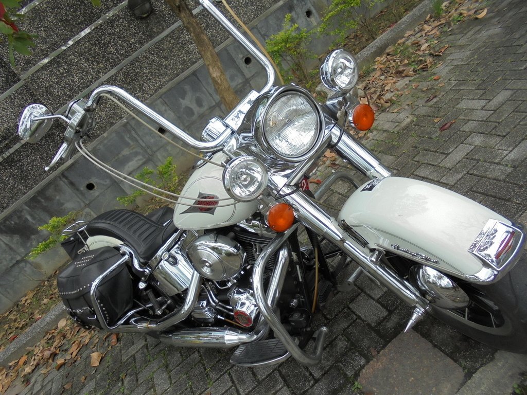 DSC02488_調整大小.JPG
