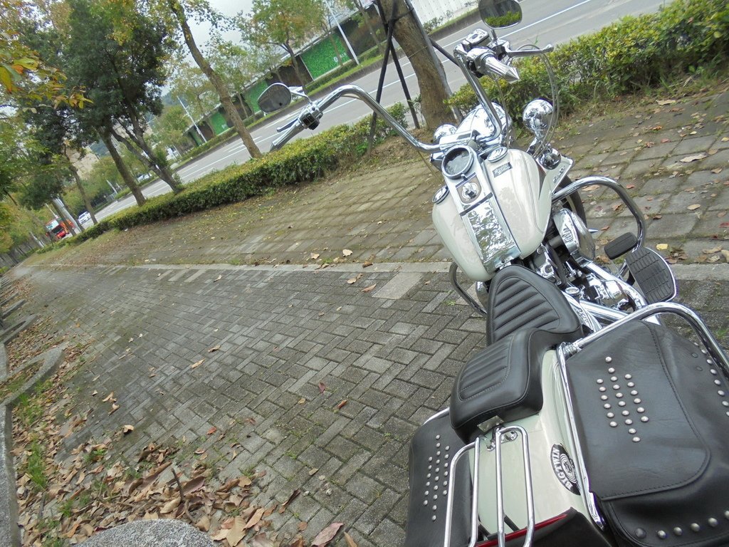 DSC02505_調整大小.JPG