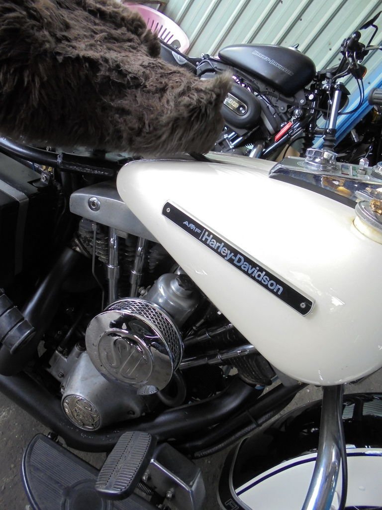 DSC02070_調整大小.JPG