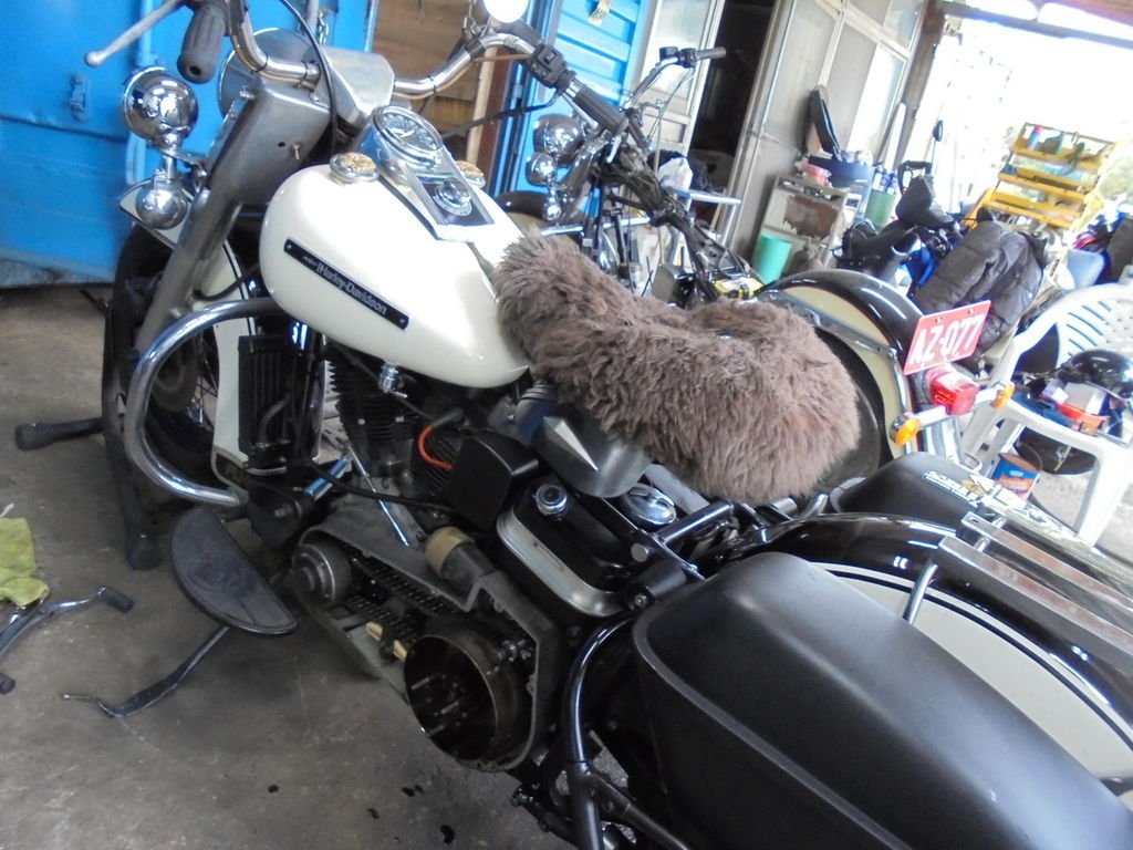 DSC02072_調整大小.JPG