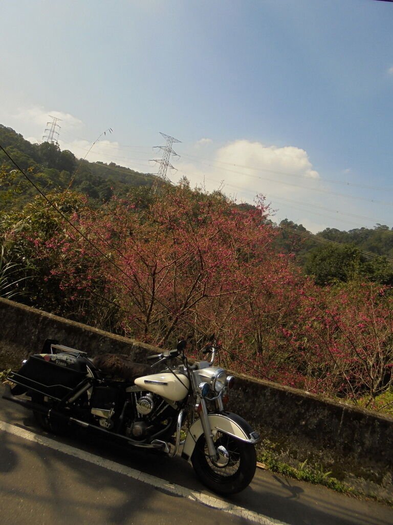 DSC02758_調整大小.JPG