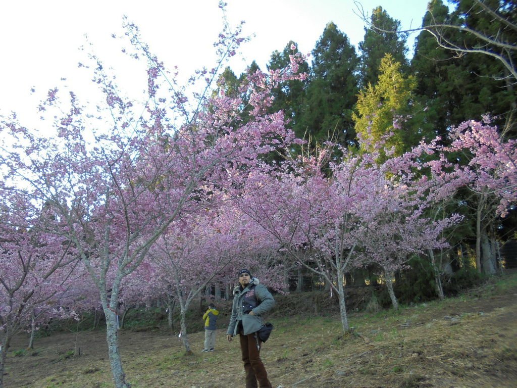 DSC02915_調整大小.JPG