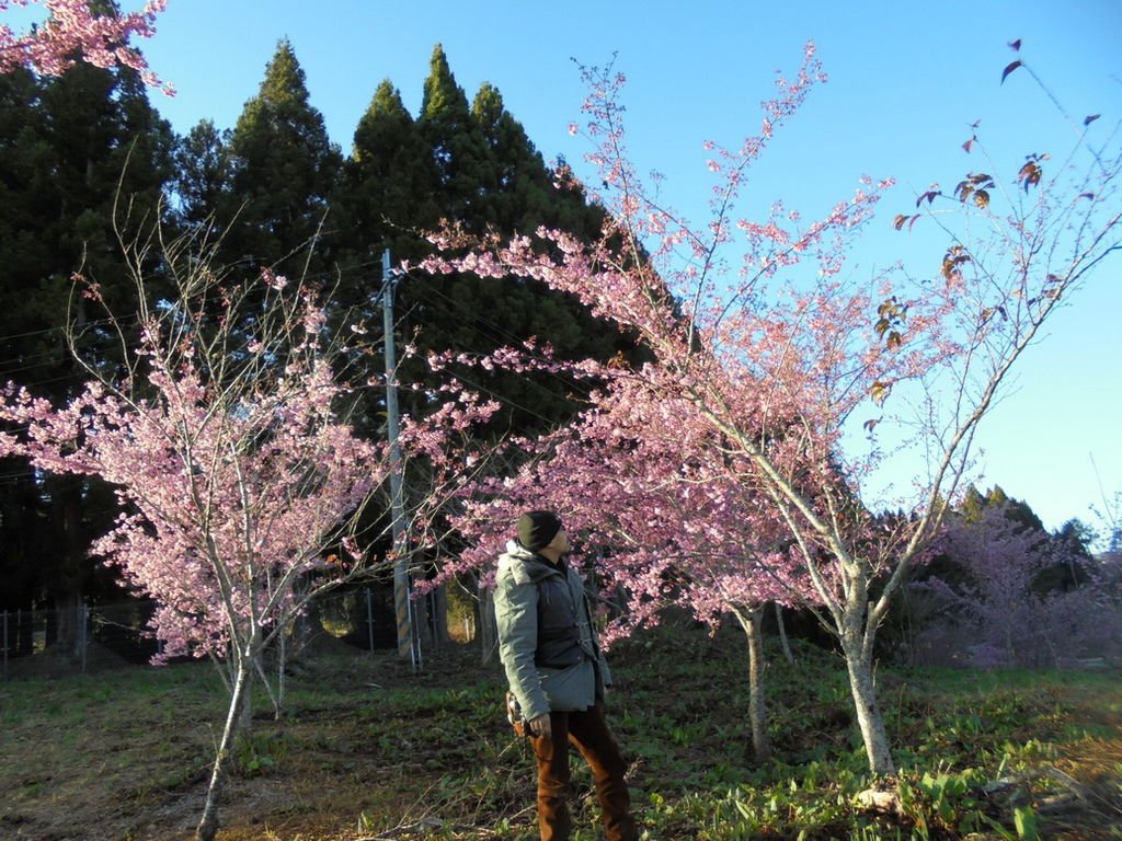 DSC02917_調整大小.JPG
