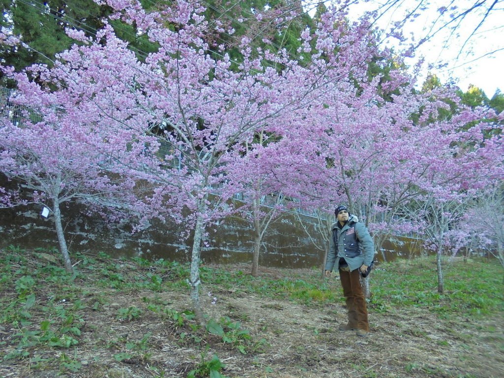 DSC02920_調整大小.JPG