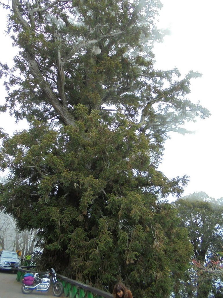 DSC02956_調整大小.JPG