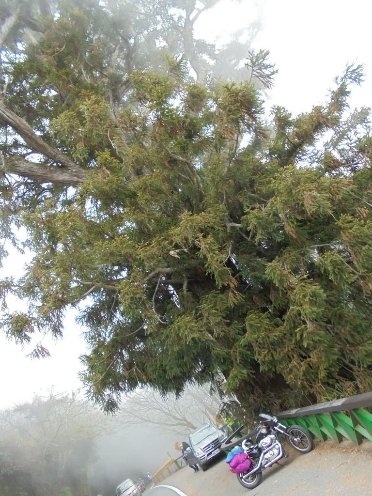 DSC02957_調整大小.JPG