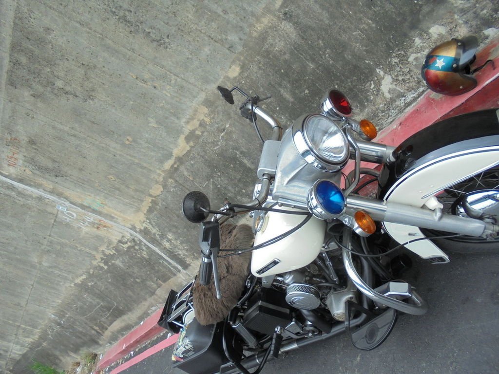 DSC03186_調整大小.JPG