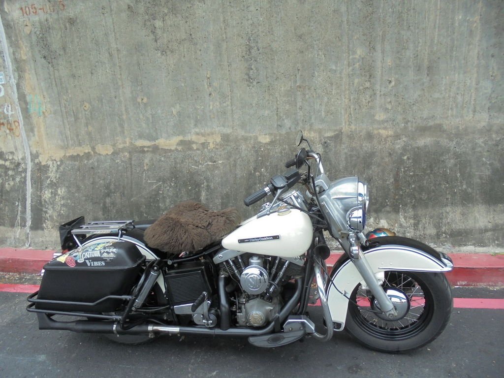 DSC03187_調整大小.JPG