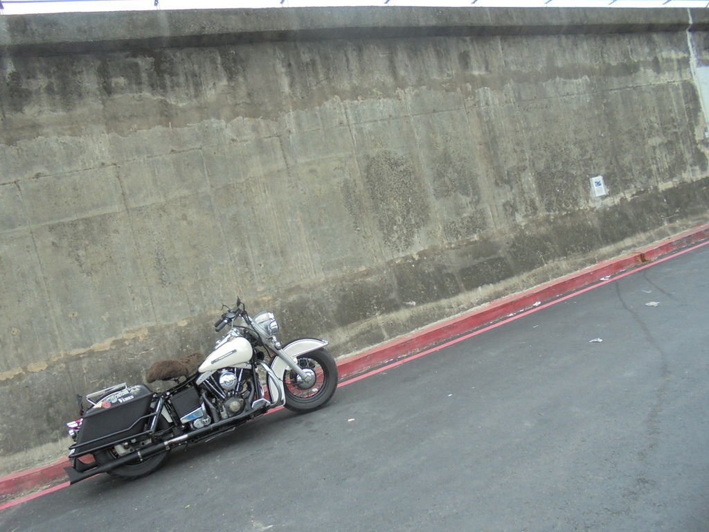 DSC03198_調整大小.JPG