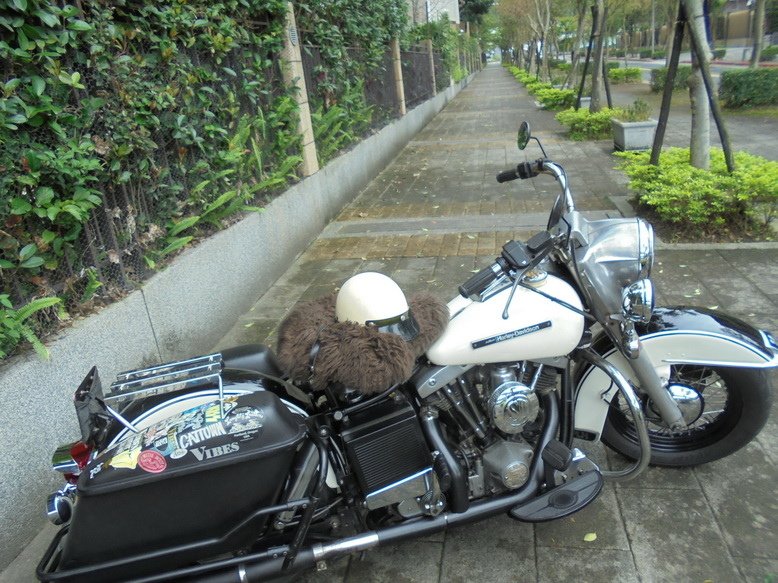 DSC03306_調整大小.JPG