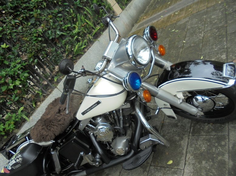 DSC03308_調整大小.JPG