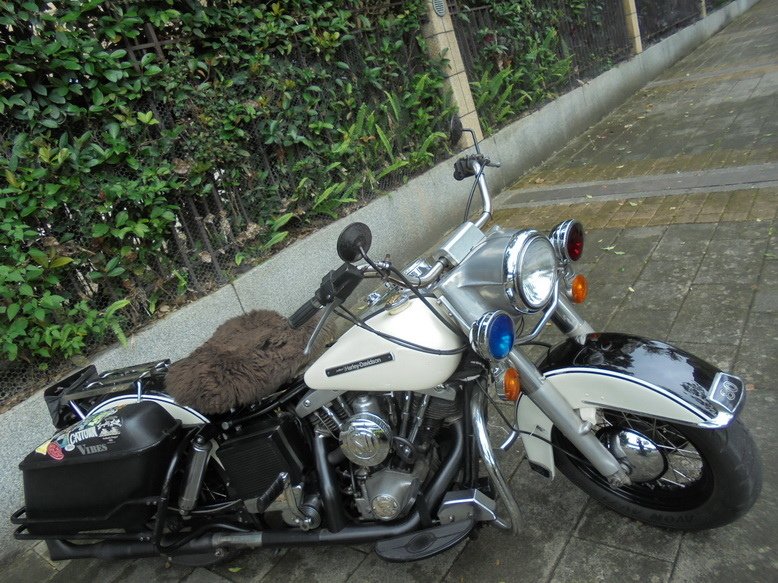 DSC03309_調整大小.JPG