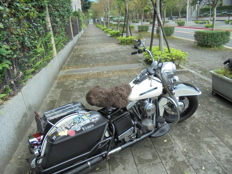DSC03311_調整大小.JPG