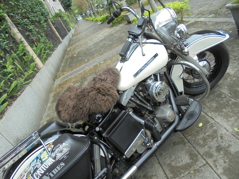 DSC03314_調整大小.JPG