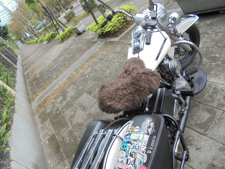 DSC03316_調整大小.JPG