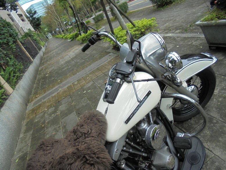 DSC03318_調整大小.JPG