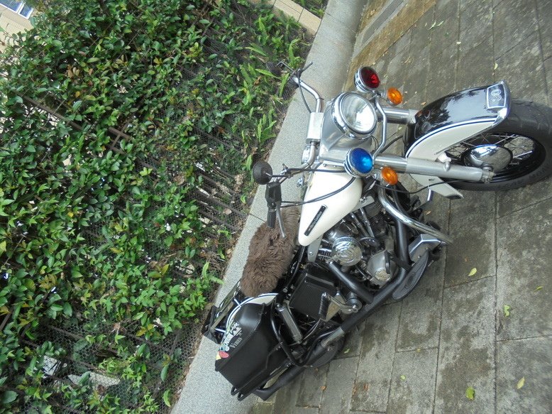 DSC03317_調整大小.JPG