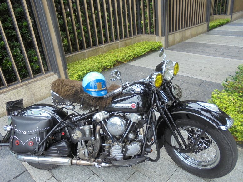 DSC03367_調整大小.JPG