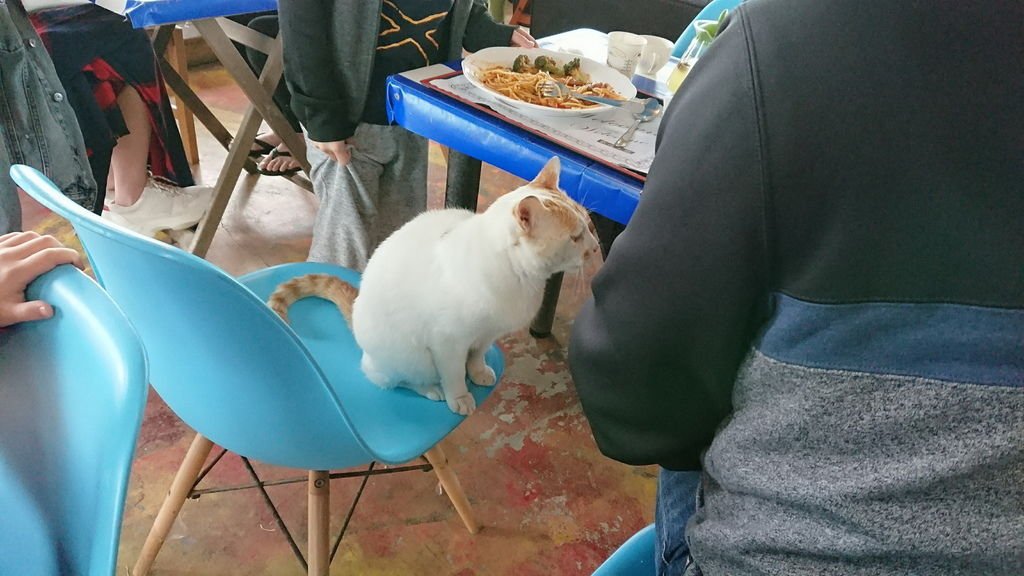 2019-03-31 藍天公路_190331_0036_調整大小.jpg