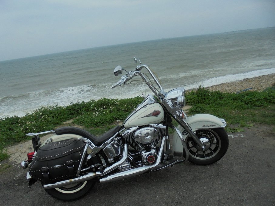 DSC03488_調整大小.JPG