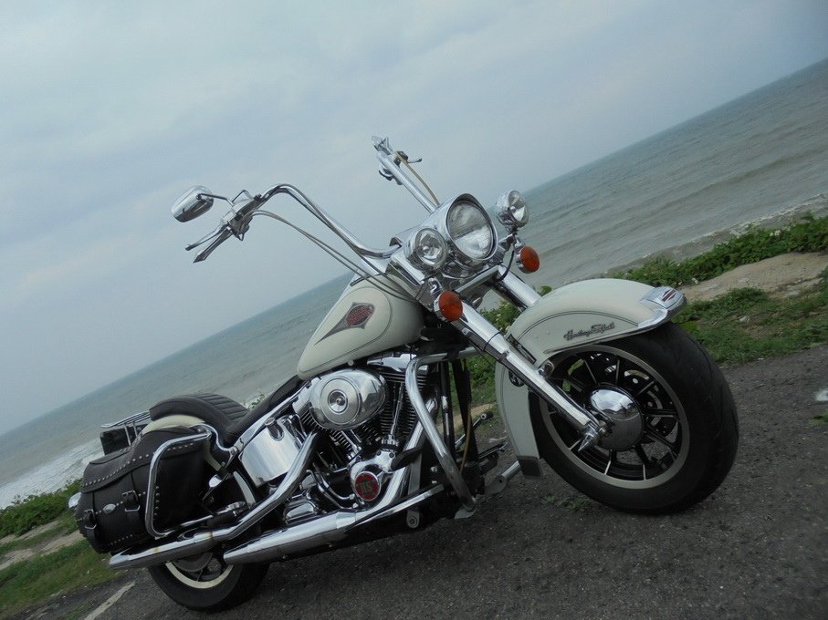 DSC03491_調整大小.JPG