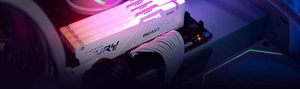 Kingston FURY Beast RGB.jpg